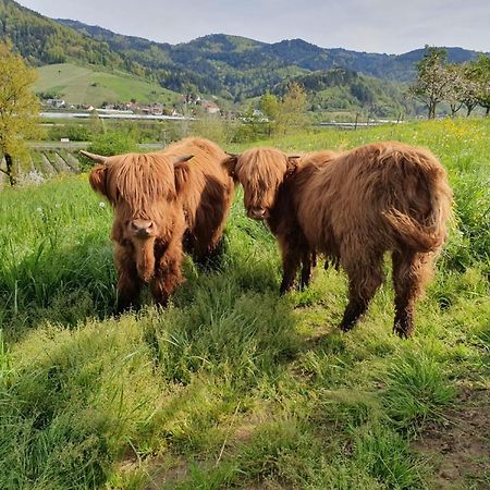 Ferienhof Vordere Alm Oberkirch  Zewnętrze zdjęcie