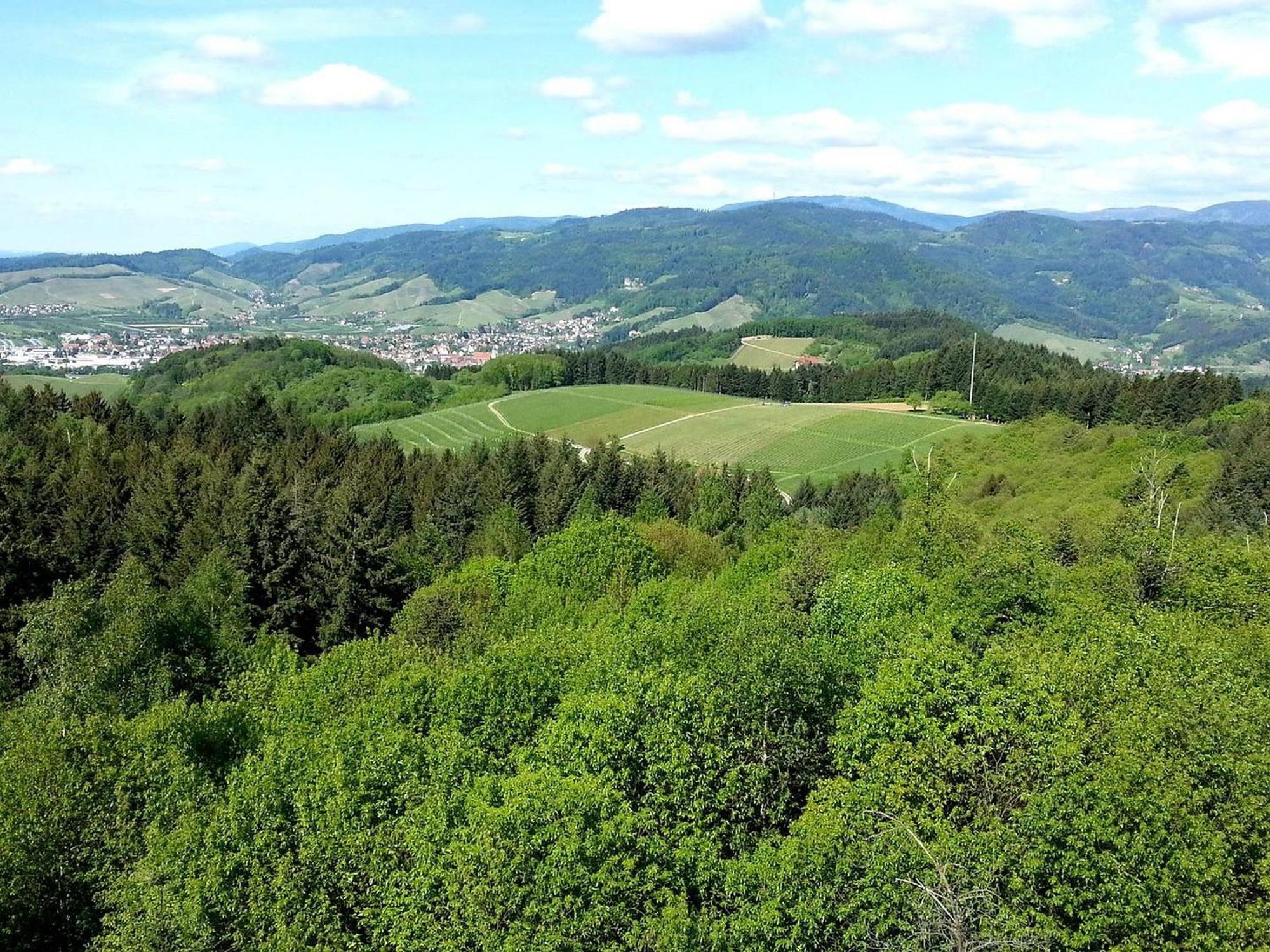 Ferienhof Vordere Alm Oberkirch  Zewnętrze zdjęcie