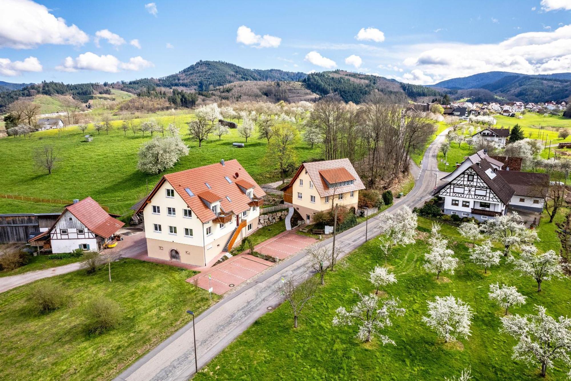 Ferienhof Vordere Alm Oberkirch  Zewnętrze zdjęcie