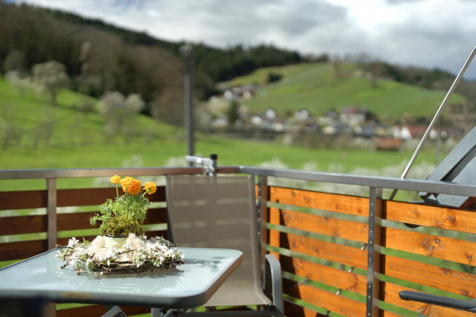 Ferienhof Vordere Alm Oberkirch  Zewnętrze zdjęcie