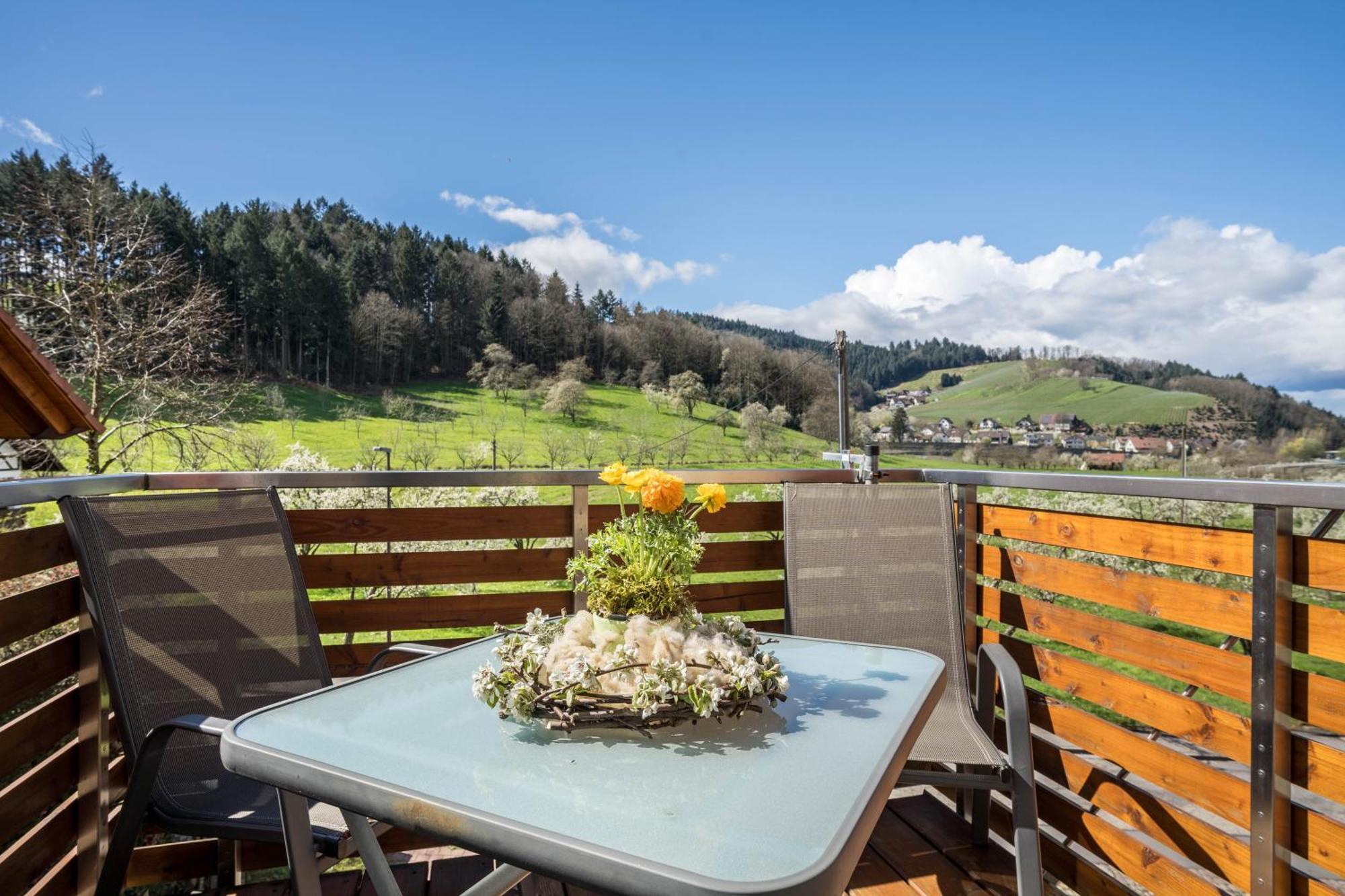 Ferienhof Vordere Alm Oberkirch  Zewnętrze zdjęcie